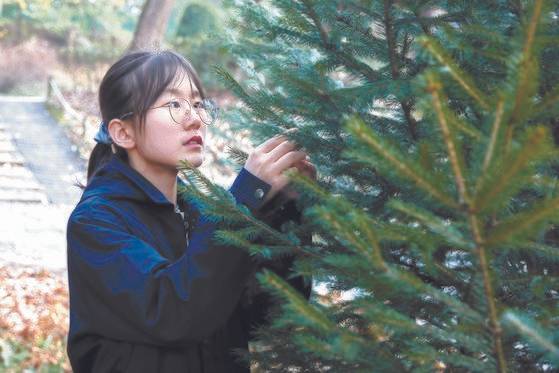 풍산가문비나무를 살펴보는 김수민 학생기자.