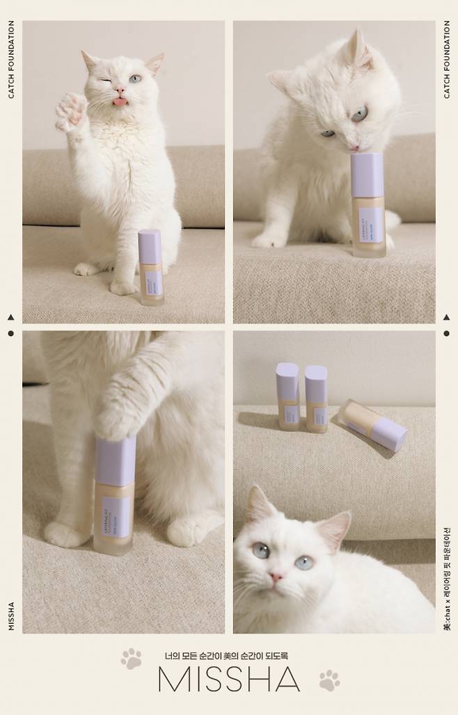 /사진제공=에이블씨엔씨 미샤