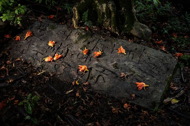 미국 하와이 빅아일랜드 코나에 방치된 한 한인무덤./김동우 작가