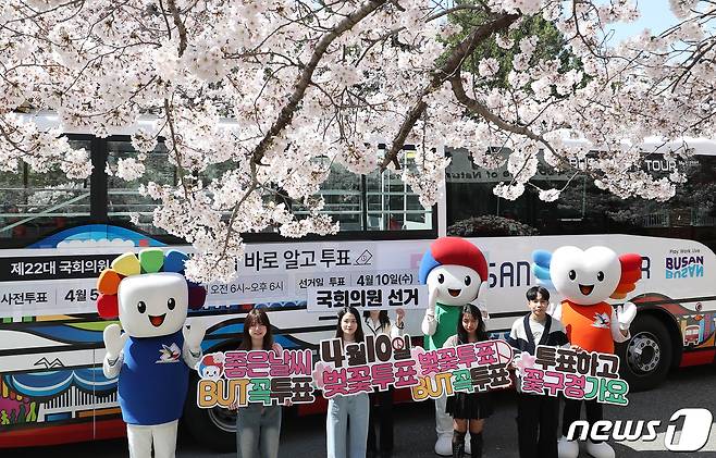 제22대 국회의원 선거를 9일 앞둔 1일 오전 부산 남구 부경대학교 대연캠퍼스에서 부산시선관위 직원들과 부경대 학생들이 투표 참여를 독려하기 위해 부산시티투어버스를 활용한 '벚꽃투표 BUT꼭투표' 캠페인을 하고 있다. 2024.4.1/뉴스1 ⓒ News1 윤일지 기자