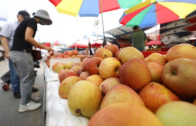 전통시장에서 시민이 사과를 구매하고 있다. (ⓒ뉴스1, 무단 전재-재배포 금지)