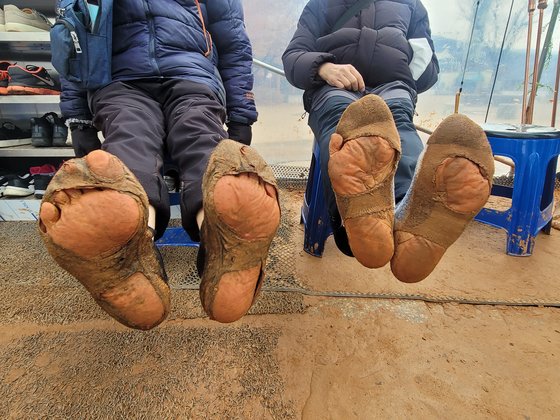지난 2월 6일 오후 경기 성남시 분당구 율동공원에 조성된 비닐하우스 맨발 황톳길에서 어싱(earthing)을 즐기는 사람들. 손성배 기자