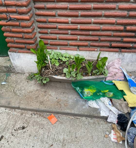 성북동 재개발단지에 버려져 있던, 깨진 식물 화분. '공가'라 씌워진 집 앞에 놓여 있었다./사진=남형도 기자