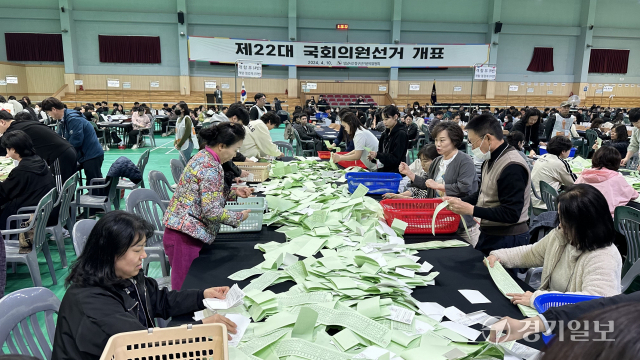 10일 오후 성남시 산성실내배드민턴장에 마련한 제22대 국회의원선거 개표소에서 관계자들이 개표작업을 하고 있다. 오종민기자