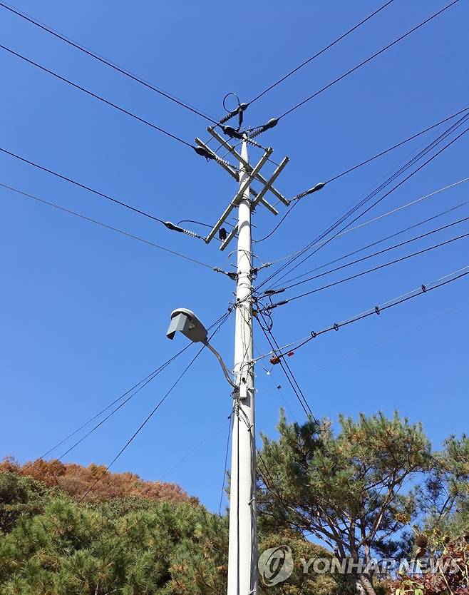 전봇대. 이 사진은 기사와 관련 없는 자료사진입니다. [촬영 안철수]