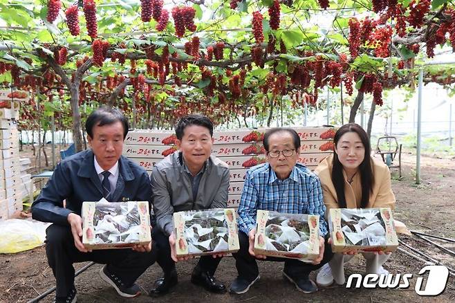 송경영 산내농협 조합장(왼쪽 첫번째)과 김영훈 농협 대전본부장(왼쪽 두번째),  델라웨어 포도를 재배한 송석범씨(오른쪽 두번째) 등이 출하기념 사진을 찍고 있다.(농협 대전본부 제공)/ 뉴스1 ⓒ News1