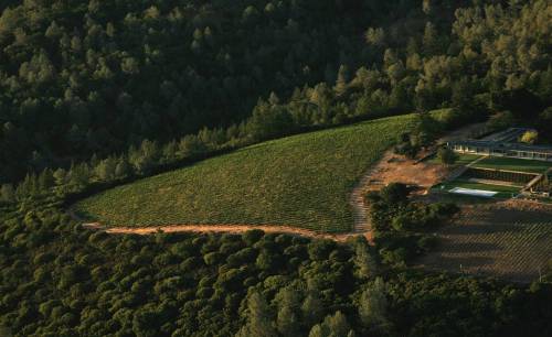 로터스 빈야드 전경 출처=홈페이지