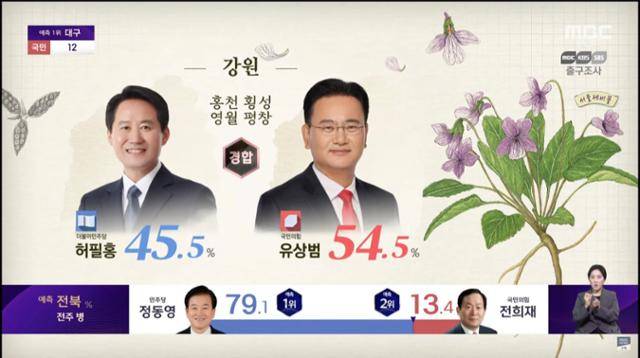 MBC는 개표방송에 화려한 컴퓨터그래픽 대신 세밀화 이미지를 사용했다. MBC 캡처