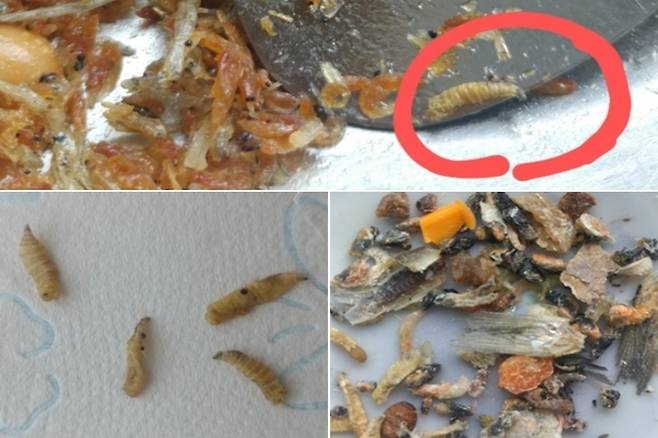 온라인커뮤니티 캡처