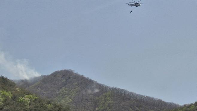 영천 산불 현장 [산림청 제공]