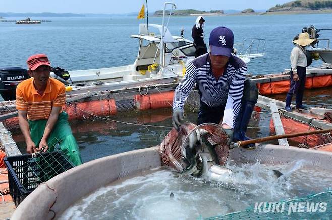 홍성군은 오는 20일부터 다음달 7일까지 18일간 남당항 일원에서 ‘제4회 홍성 남당항 바다송어축제’를 개최한다.