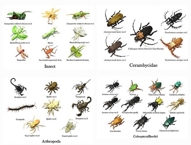 다양한 곤충 작품들