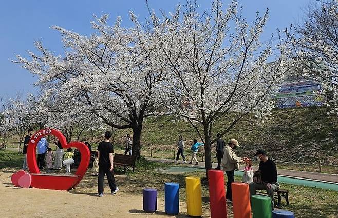 '흥양청변 벚꽃축제' 찾은 지역주민들.  *재판매 및 DB 금지