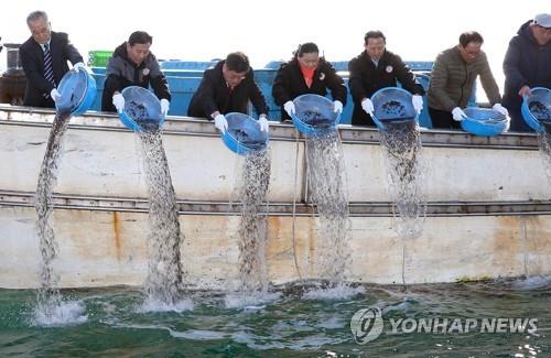 뚝지 어린 고기 방류. [동해시 제공 자료 사진]