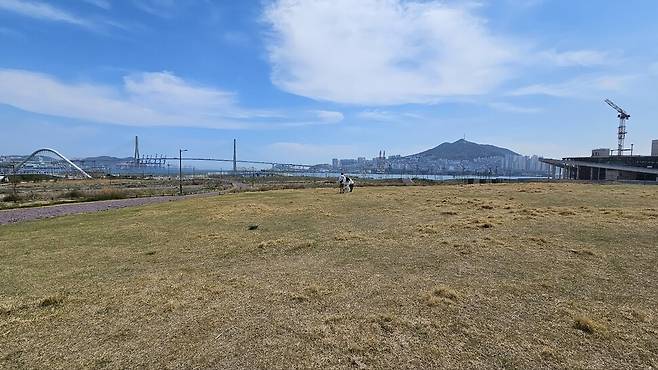 북항 친수공원 잔디광장 모습. 김영동 기자