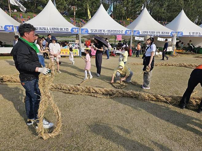 [당진=뉴시스] 김덕진 기자=14일 충남 당진 기지시줄다리기 박물관에서 열린 기지시줄다리기 축제 줄다리기가 끝난 후 한 가족으로 보이는 이들이 줄로 쓰인 볏짚 새끼줄을 잘라 가져 가려고 정리하고 있다. 2024.04.14. spark@newsis.com *재판매 및 DB 금지