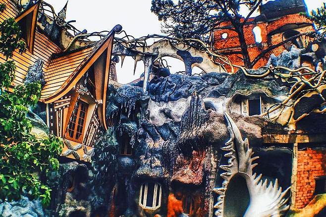 크레이지 하우스