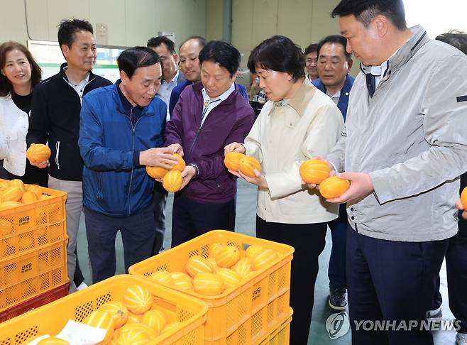 APC 방문해 참외 작황 및 출하 동향 점검하는 송미령 장관 (서울=연합뉴스) 송미령 농림축산식품부 장관이 14일 경상북도 성주군 참외 농장과 농산물산지유통센터(APC)를 방문하여 작황을 확인하고 출하 동향을 점검하고 있다. 2024.4.14 [농림축산식품부 제공. 재판매 및 DB 금지] photo@yna.co.kr