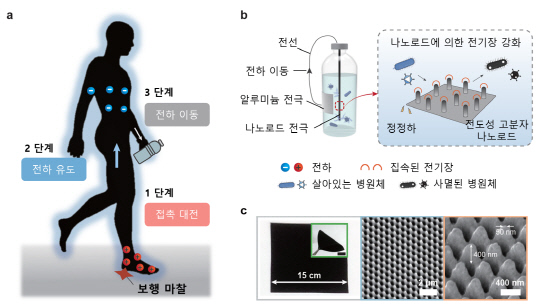 김상우 연세대 교수 연구팀은 중국 연구팀과 함께 보행 중 발생하는 인체 정전기와 전도성 고분자 '나노로드'를 이용해 병원균에 오염된 물을 정화하는 휴대형 물병을 개발했다.



연구재단 제공