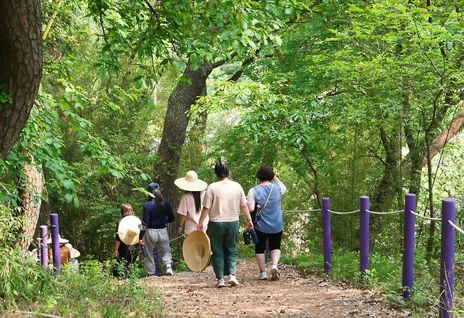▲농촌 크리에이투어 참가자들이 농촌 시골 마을의 숲길을 걸으며 휴식의 시간을 즐기고 있다 [곡성군]