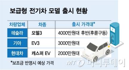 보급형 전기차 모델 출시 현황/그래픽=김다나