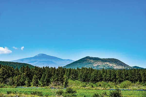 새끼오름에서 본 큰사슴이오름과 한라산.