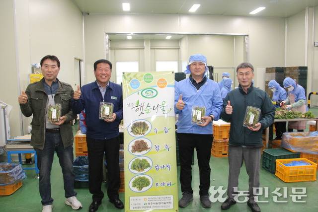 경북 상주 외서농협 김광출 조합장(왼쪽 두번째), 박범현 산지유통센터 소장(맨 오른쪽) 등이 햇순나물을 보여주고 있다.