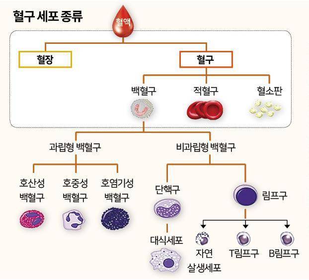 그래픽=신동준기자