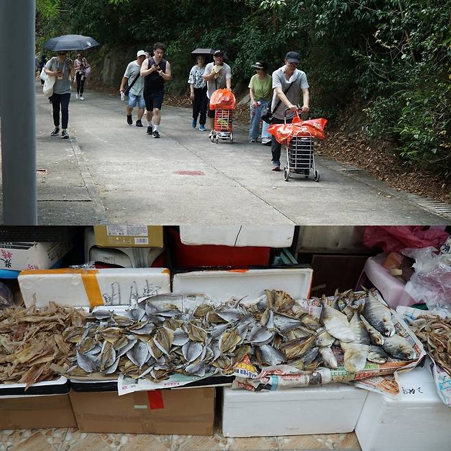 청차우섬 포구 근처의 한 생선가게. 어선에서 잡은 생선을 손질해 건조해 판매하고 있다. 대단할 것 없는 평범한 일상이지만, 오히려 그래서 더 매력적인 곳이 청차우섬이다.
홍콩|스포츠동아 김재범 기자 oldfield@donga.com