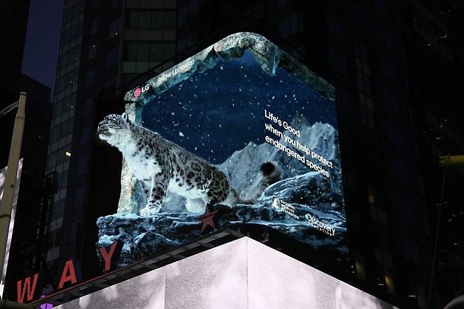 LG전자가 미국 뉴욕 타임스스퀘어에서 ‘LG와 함께하는 위기 동물 보호 캠페인’ 영상을 공개했다. LG전자는 연말까지 눈표범, 흰머리 독수리, 바다사자, 그린란드 순록을 영상으로 다룰 예정이다. <LG전자>