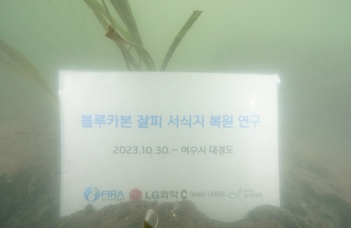 바다 속에서 진행되고 있는 LG화학의 잘피 복원사업 배너. 사진제공=LG화학·한국사산자원공단 제공