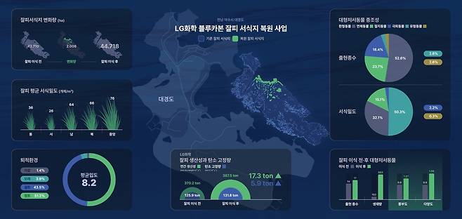 블루카본 잘피 서식지 복원 사업 현황 [LG화학·한국사산자원공단 제공. 재판매 및 DB 금지]