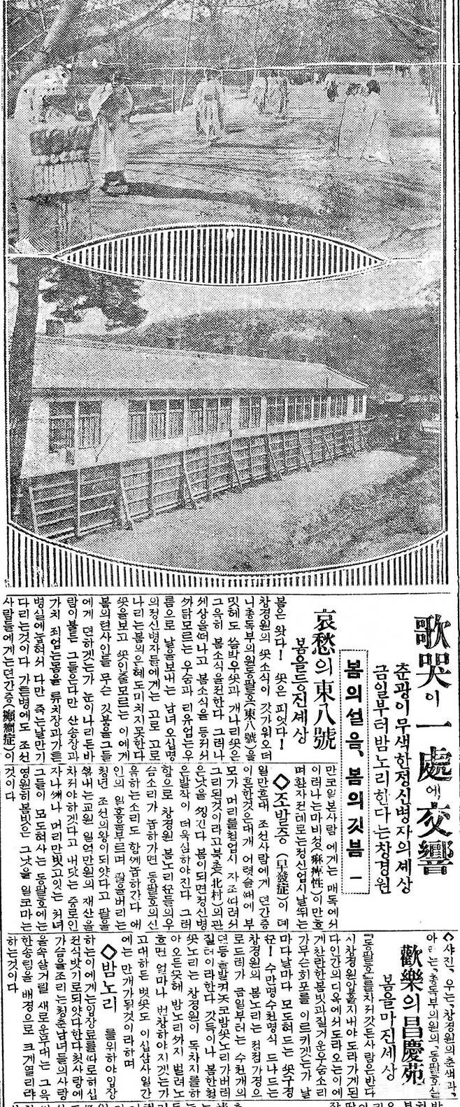 ◇ 사진 위는 창경원의 봄 풍경과 아래는 총독부 의원의 동팔호실