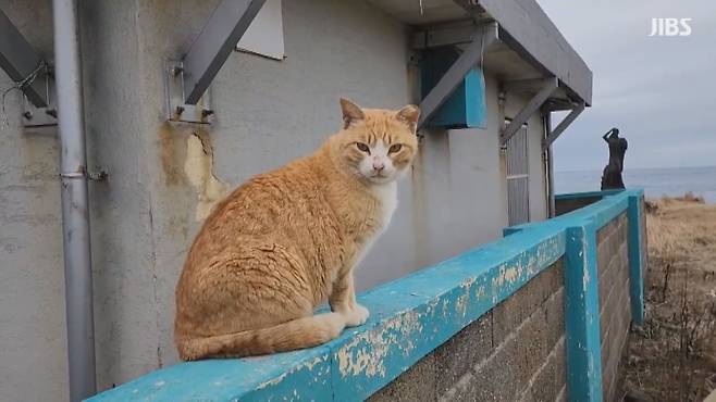 사진은 기사 특정 내용과 관련 없음