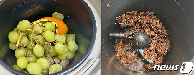 미닉스의 음식물 처리기 '더 플렌더'로 음식물쓰레기를 처리하기 전(왼쪽)과 후 모습 ⓒ News1 이민주 기자