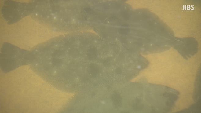 사진은 기사와 관련 없음