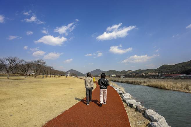 영천 임고강변공원.