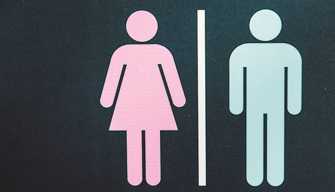 인간을 포함한 대부분의 동물이 암수로 구분된 자웅이체인 덴 이유가 있다.[일러스트=게티이미지뱅크]