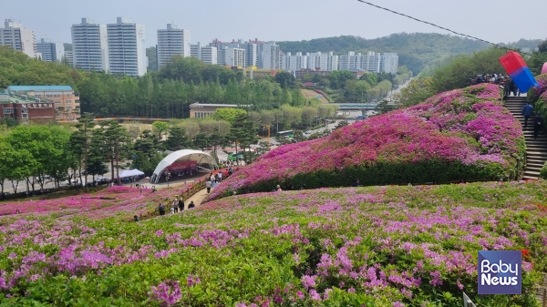 20일부터 시작되는 군포 철쪽축제 현장. 19일 오후 촬영. ⓒ최은경