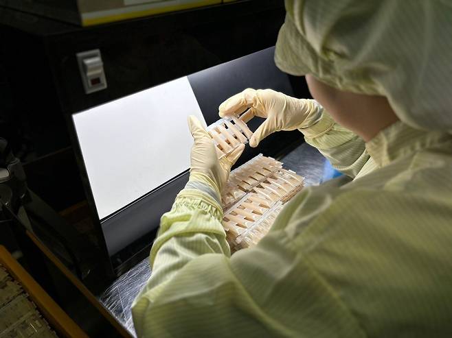 유바이오로직스 생산직원이 콜레라 백신 '유비콜 플러스' 포장 검사를 하고 있다./뉴스1