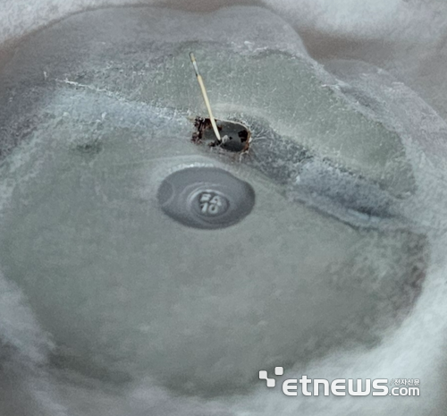 10일 착용이 끝난 패치의 모습. 바늘이 몸 속에 꽂혀 있었다.