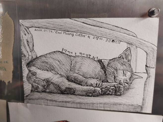 쿨 무앙 카페에서 우연히 발견한 한국인의 흔적.
