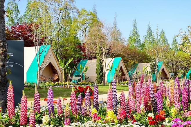 순천만국가정원에는 캐빈하우스가 있어 숙박 체험도 가능하다. /사진=한국관광공사