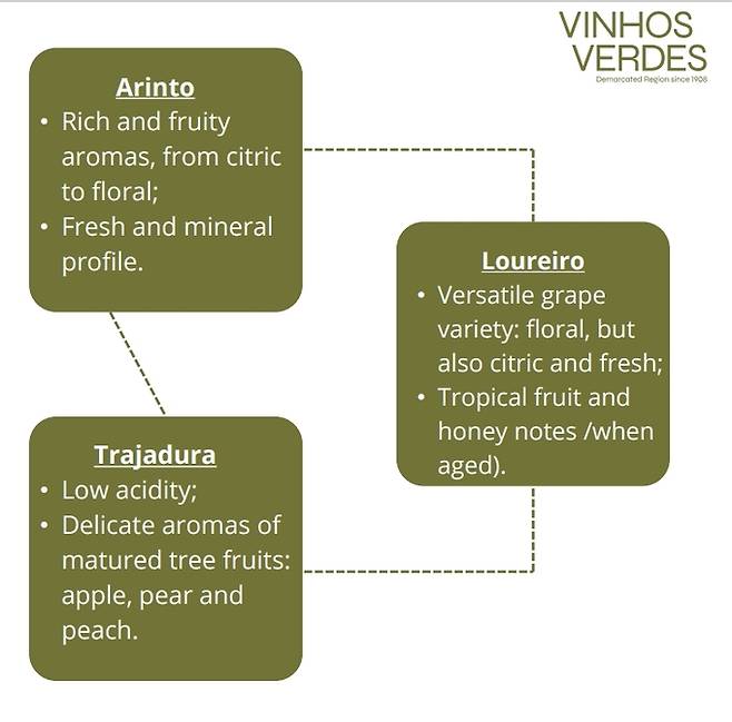 아린뚜, 루레이루, ,트라자두라 특징. 비뉴베르데와인재배협회