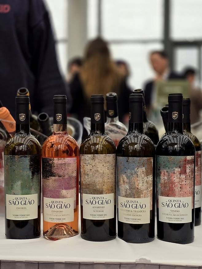 퀸타 데 사옹 지아옹 와인들. 최현태 기자