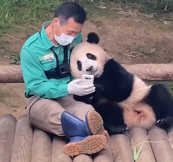 출처 = 에버랜드 유튜브