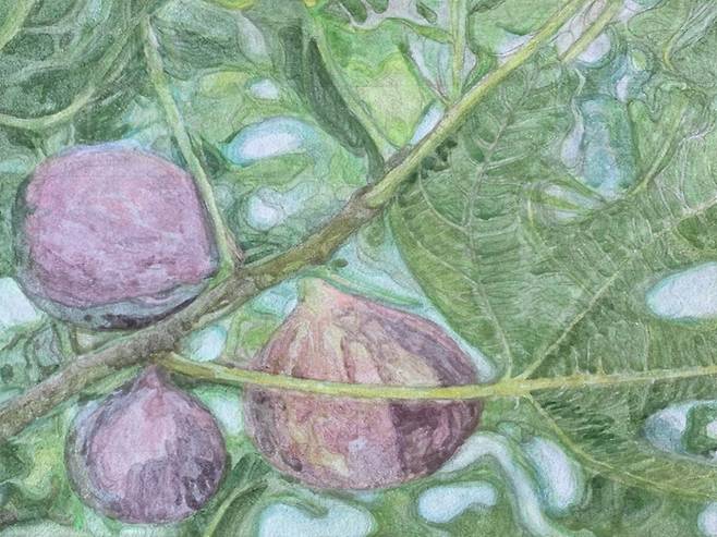 이애리 작가 그림. 사진 | 신상갤러리