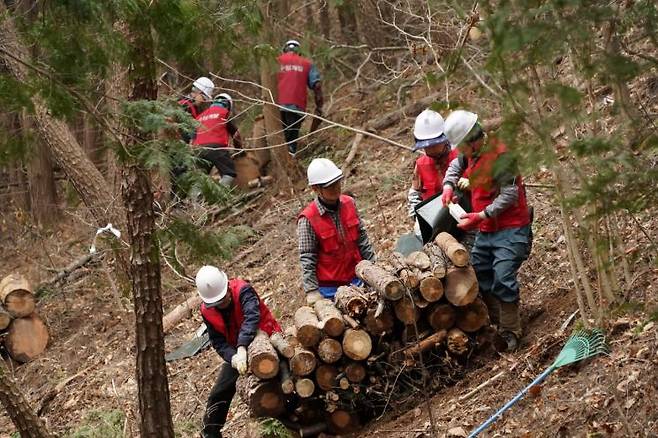 소나무재선충병이 발생한 산림 현장에서 작업자들이 피해목을 훈증처리하고 있다. 산림청 제공