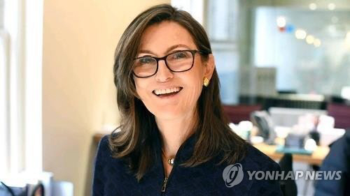 캐시 우드 아크 인베스트 최고경영자(CEO). 사진 연합뉴스.