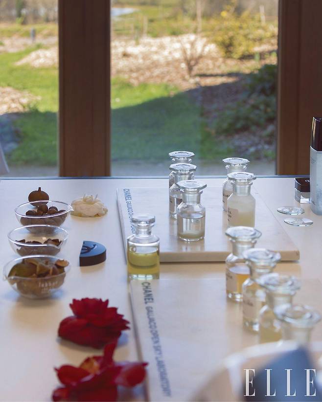 N°1 DE CHANEL 제품과 그 안에 들어가는 레드 까멜리아 추출물 샘플들.